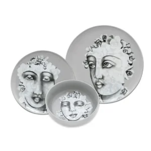 set DINNERWARE 12pc SET \ Succulent Faces