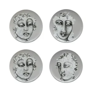 sideplate SIDE PLATE SET OF 4 \ Succulent Faces