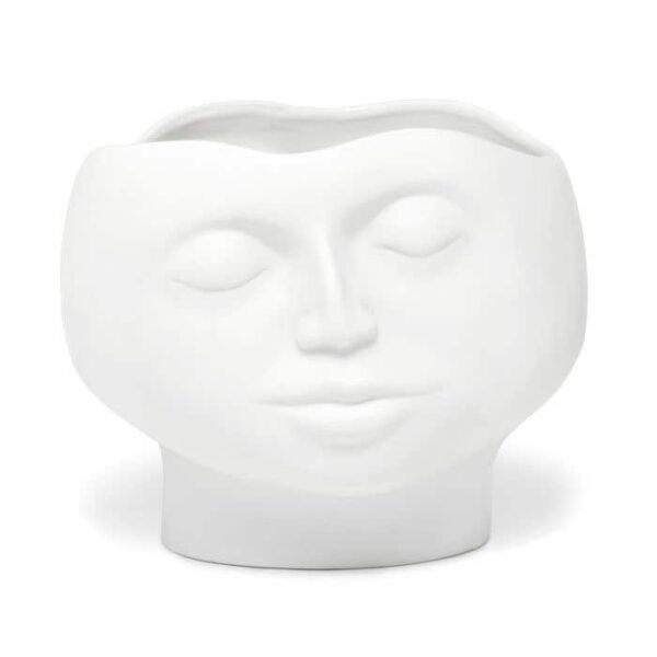 BOWL LARGE